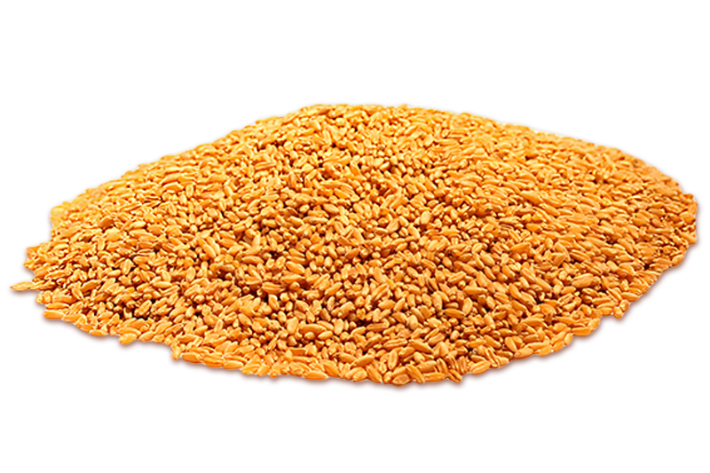 Pane dell'anno 1000-pane-grani-percisacchi